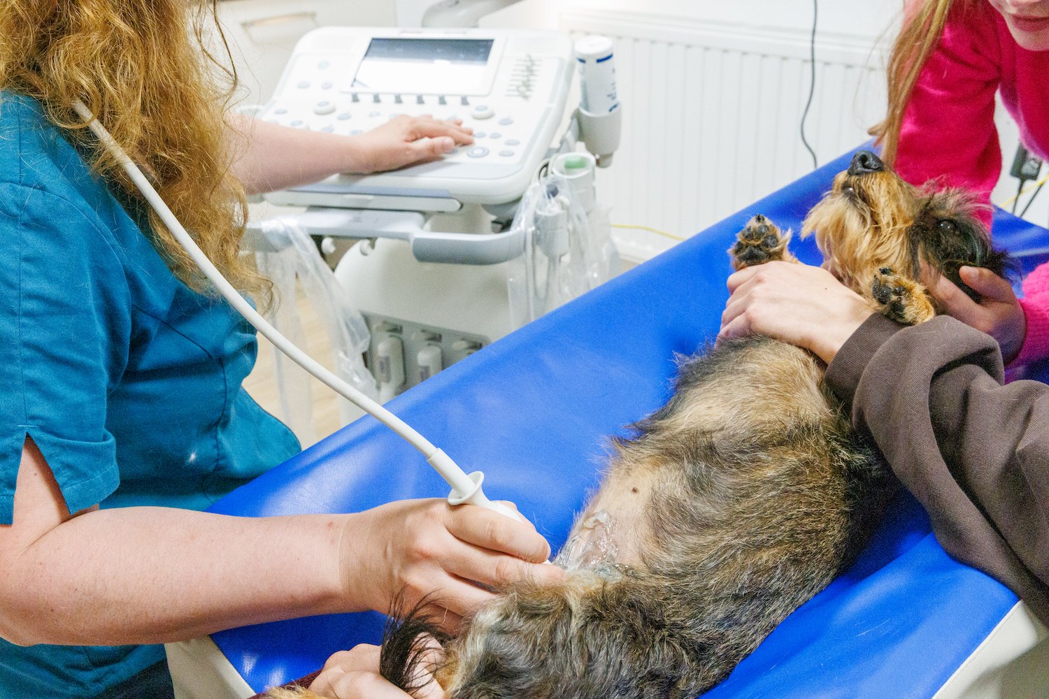 Echografie & echocardiografie